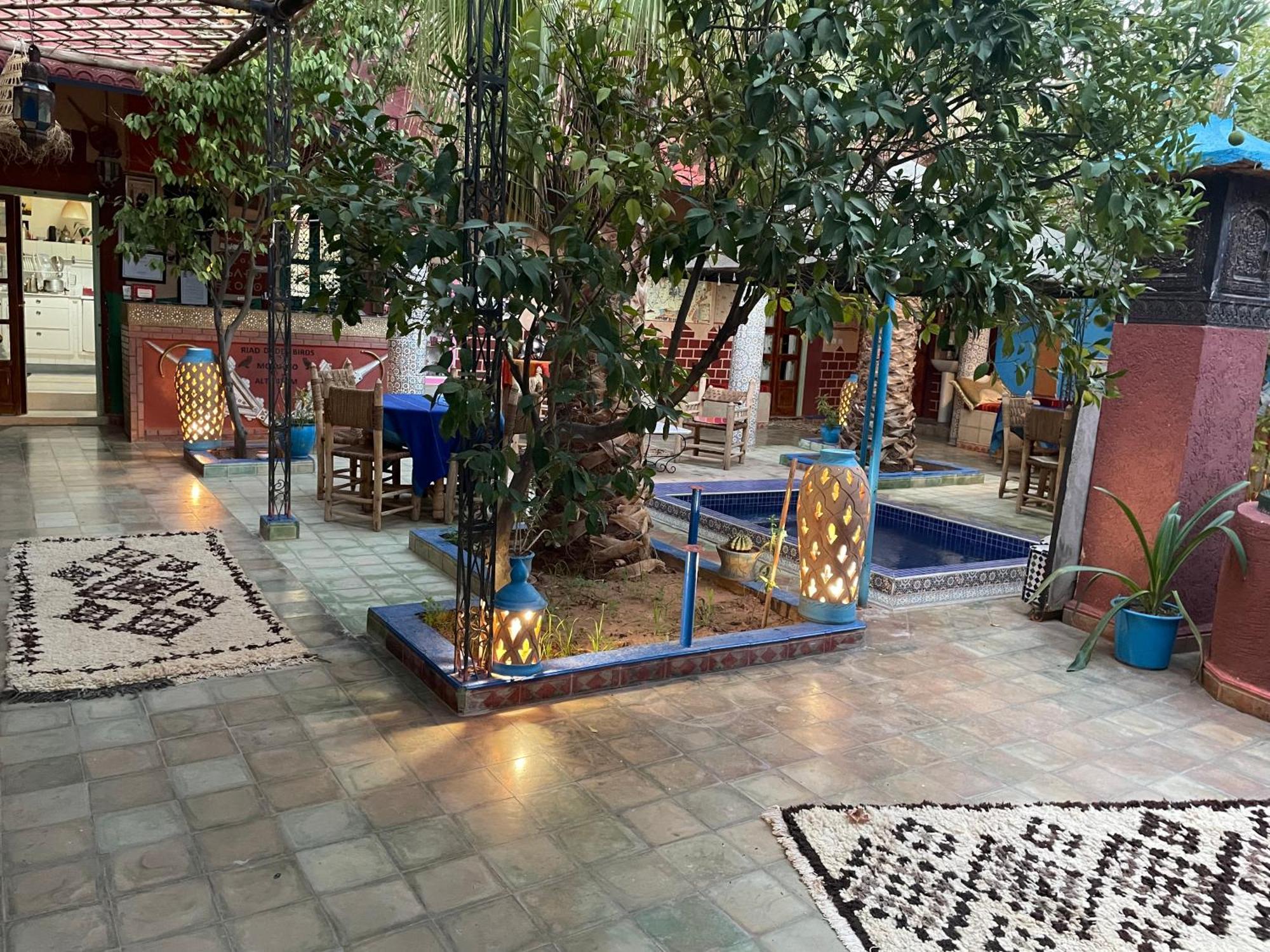 Riad Dades Birds Boumalne Extérieur photo