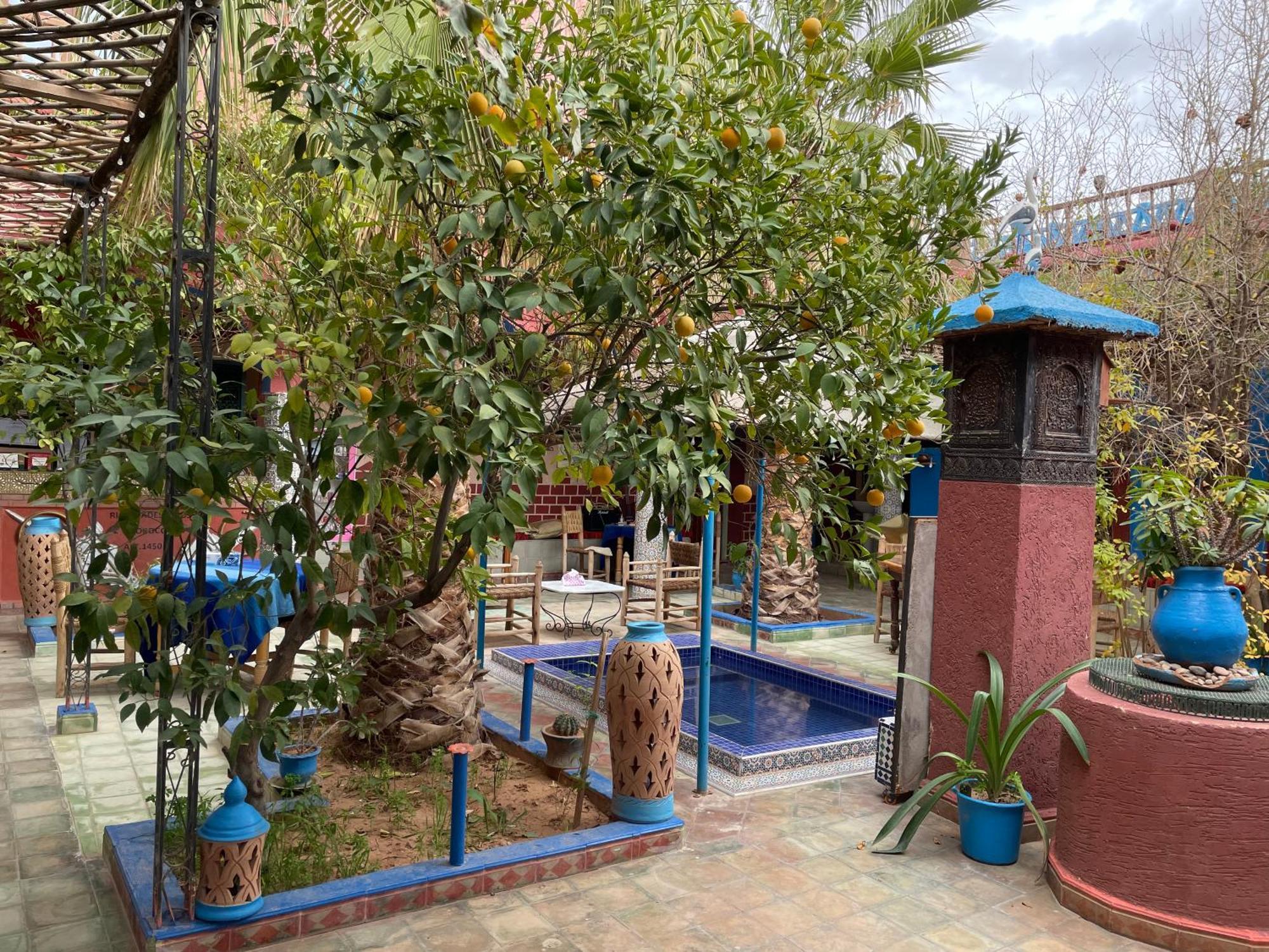 Riad Dades Birds Boumalne Extérieur photo